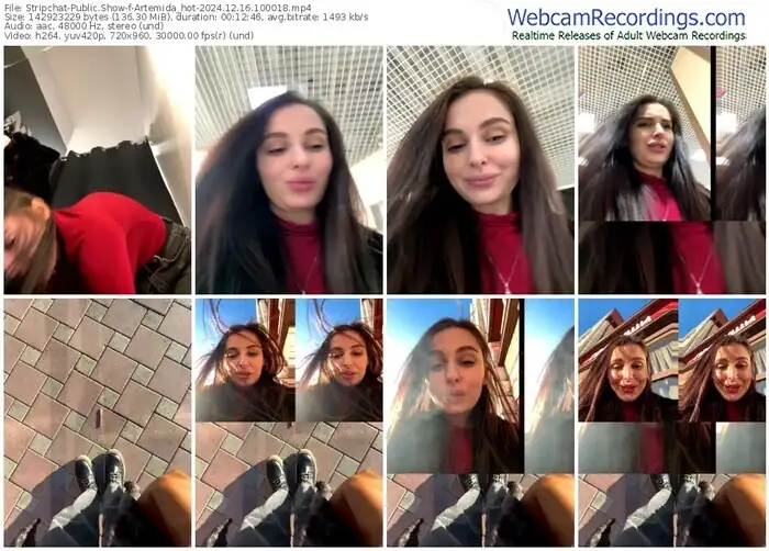 2024/12/16/stripchat-artemida_hot-10-00-18