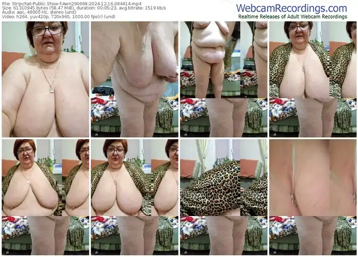 2024/12/16/stripchat-awn290668-06-44-14