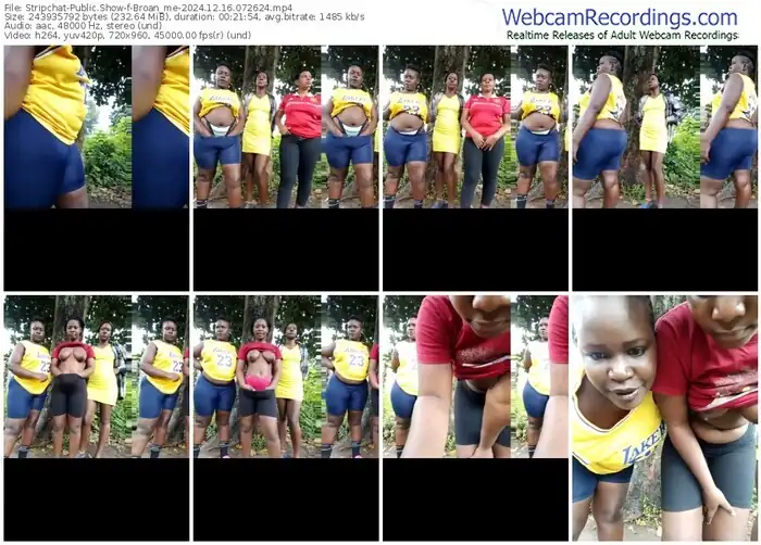 2024/12/16/stripchat-broan_me-07-26-24