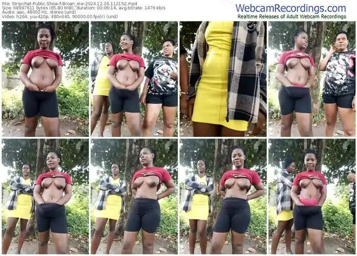 2024/12/16/stripchat-broan_me-11-21-52