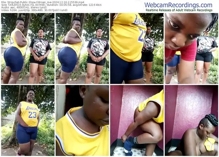 2024/12/16/stripchat-broan_me-11-55-39