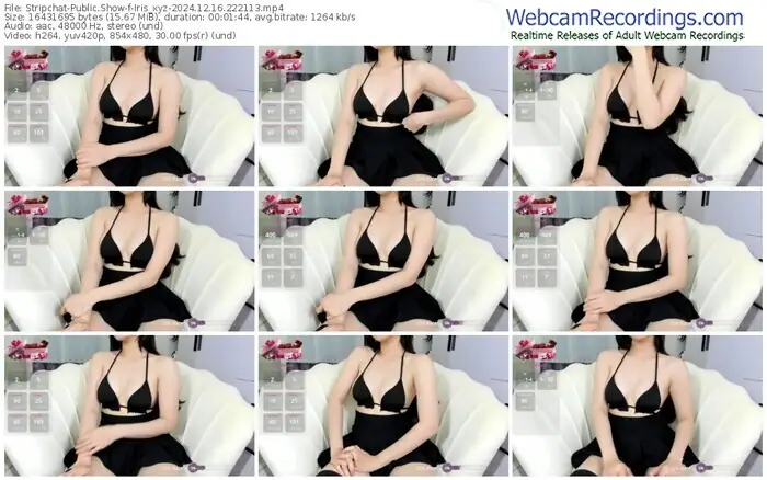 2024/12/16/stripchat-iris_xyz-22-21-13
