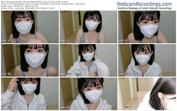 2024/12/16/stripchat-nanapink-10-26-13