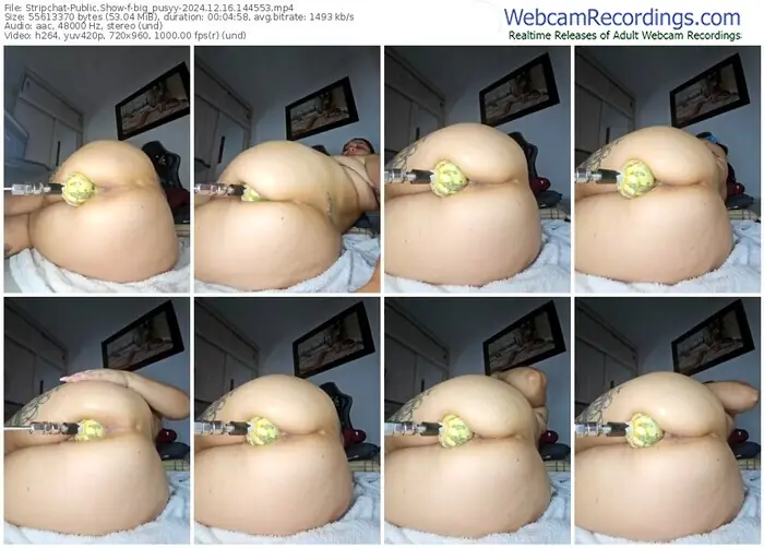 2024/12/16/stripchat-big_pusyy-14-45-53