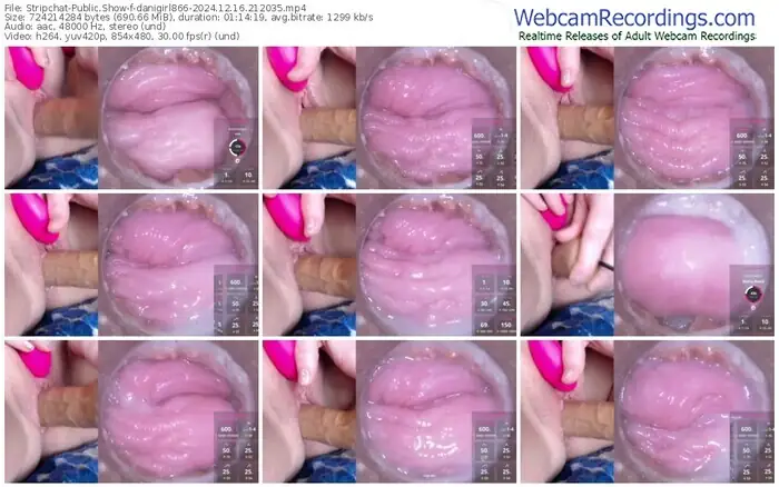 2024/12/16/stripchat-danigirl866-21-20-35