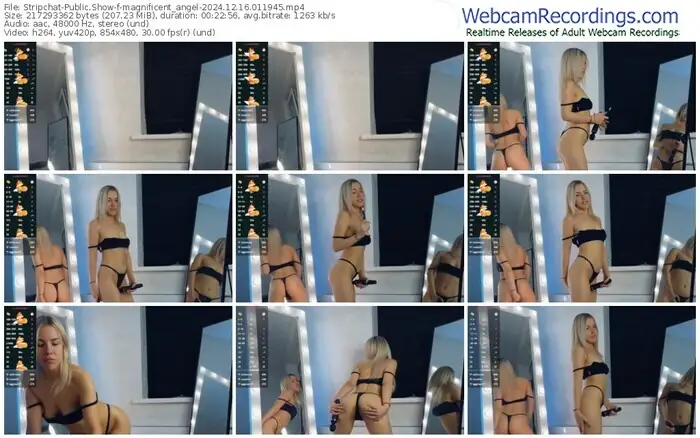 2024/12/16/stripchat-magnificent_angel-01-19-45