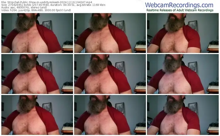 2024/12/16/stripchat-usdirtymikee9-19-42-47