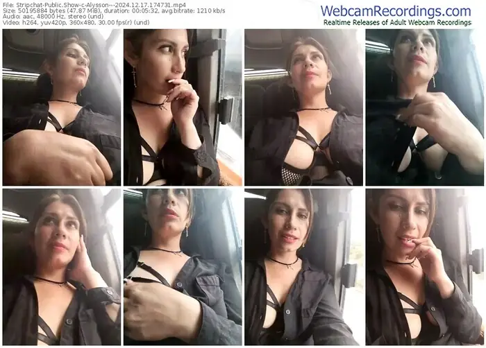 2024/12/17/stripchat-alysson---17-47-31