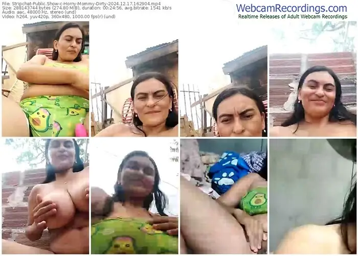 2024/12/17/stripchat-horny-mommy-dirty-16-29-04