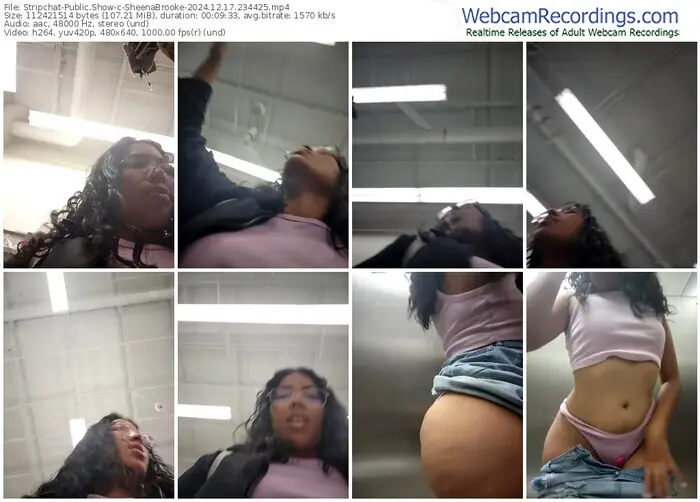 2024/12/17/stripchat-sheenabrooke-23-44-25