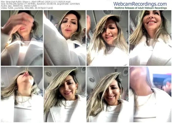 2024/12/17/stripchat-_abril-office1-19-25-14