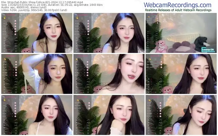 2024/12/17/stripchat-alice-821-09-54-42
