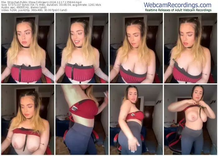 2024/12/17/stripchat-alirawrz-13-56-44