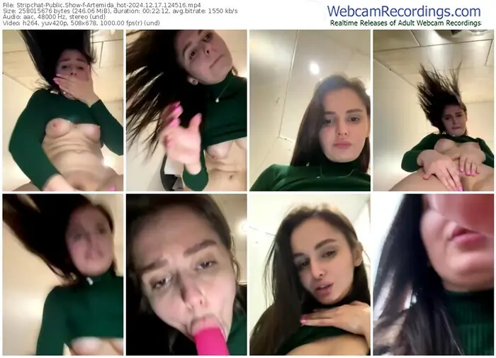 2024/12/17/stripchat-artemida_hot-12-45-16