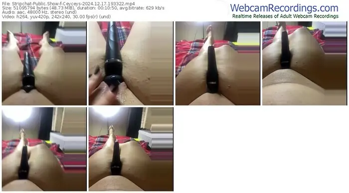 2024/12/17/stripchat-ceyceys-19-33-22