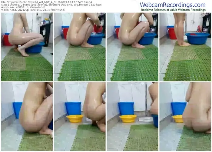 2024/12/17/stripchat-i_am_not_a_slut-07-45-16