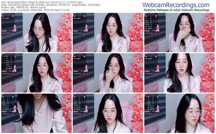 2024/12/17/stripchat-little-miu-11-35-29