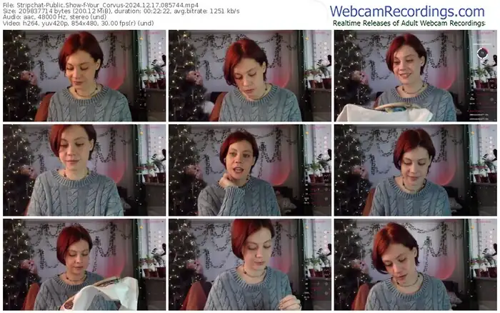 2024/12/17/stripchat-your_corvus-08-57-44