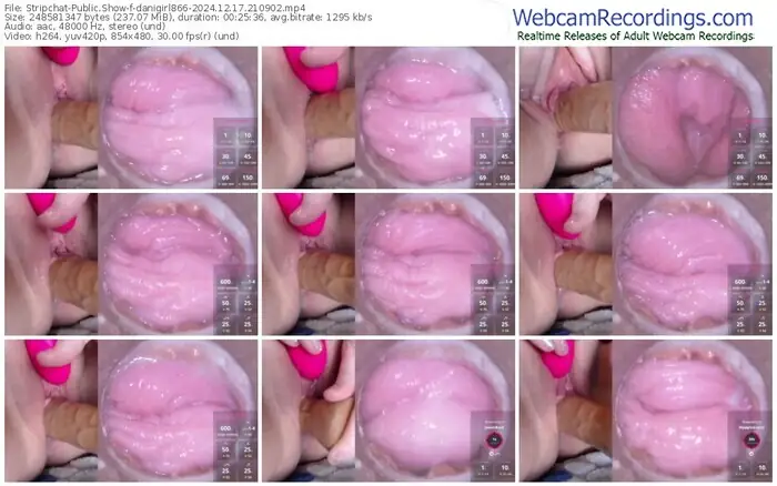 2024/12/17/stripchat-danigirl866-21-09-02