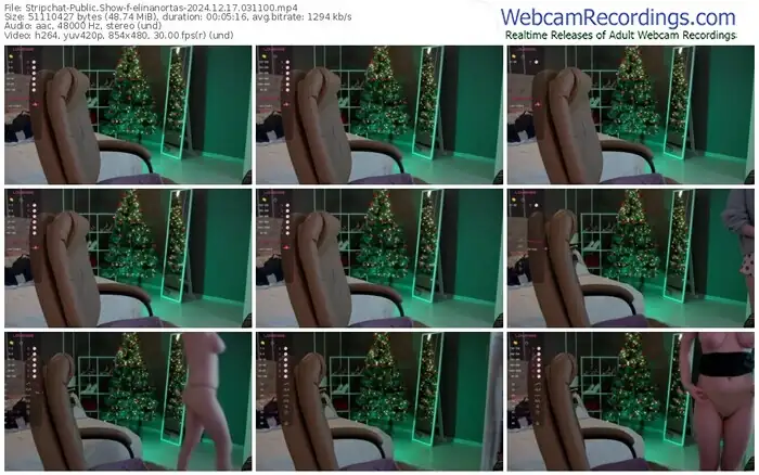 2024/12/17/stripchat-elinanortas-03-11-00