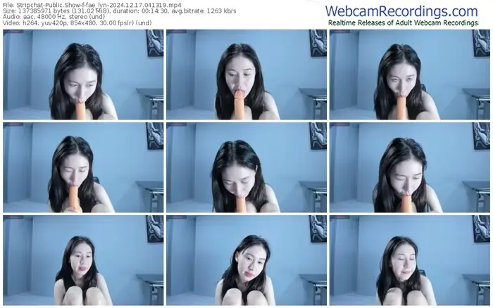 2024/12/17/stripchat-fae_lyn-04-13-19