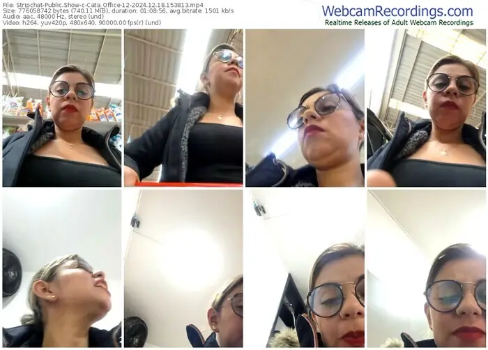 2024/12/18/stripchat-cata_office-12-15-38-13