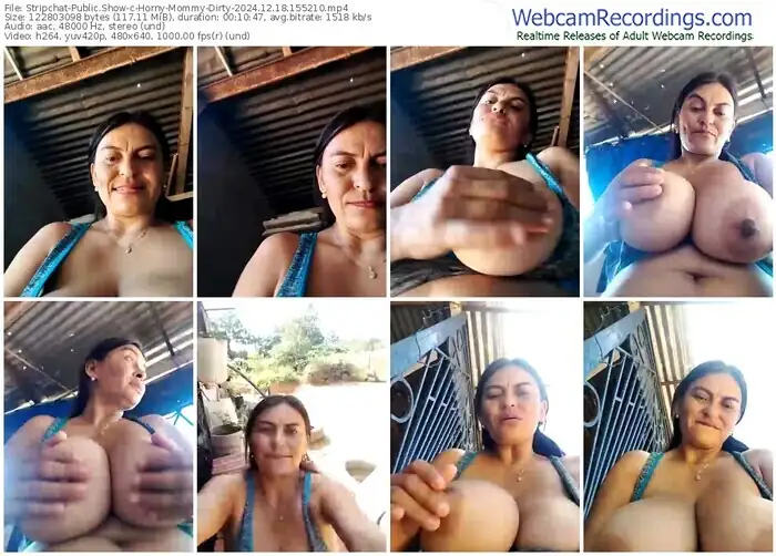 2024/12/18/stripchat-horny-mommy-dirty-15-52-10