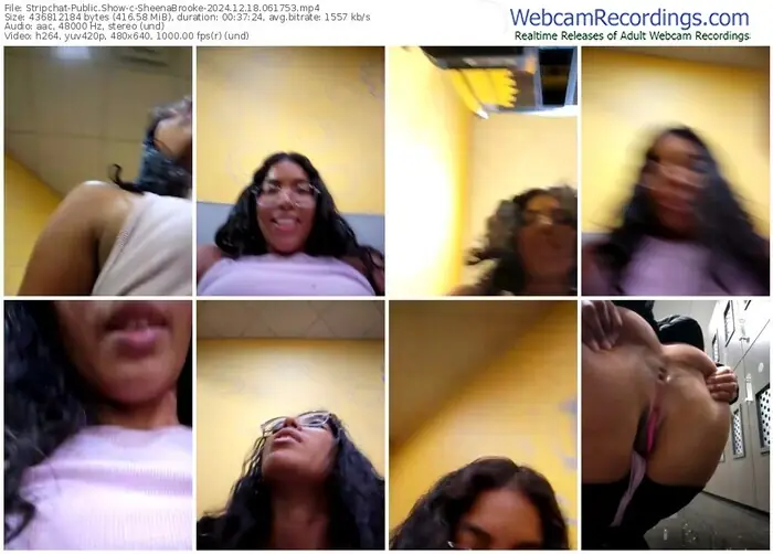 2024/12/18/stripchat-sheenabrooke-06-17-53