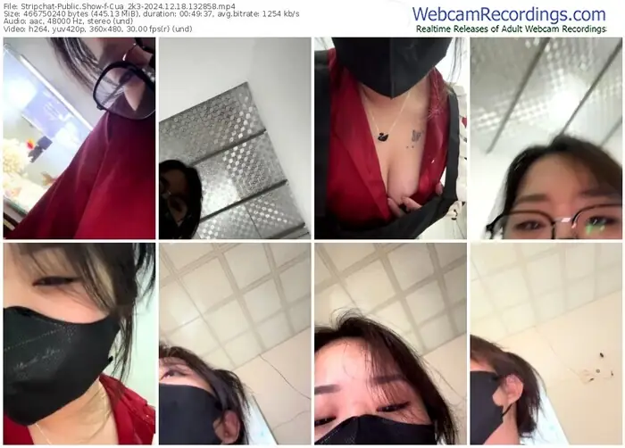 2024/12/18/stripchat-cua_2k3-13-28-58