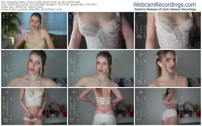 2024/12/18/stripchat-fluffy-angel-11-45-18