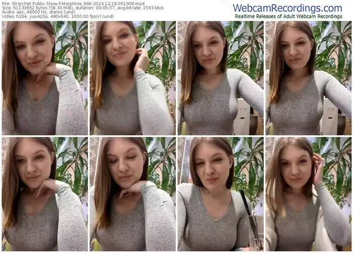2024/12/18/stripchat-morphine_666-05-19-08