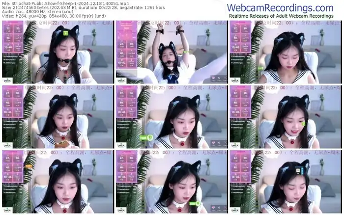 2024/12/18/stripchat-sheep-1-14-00-51