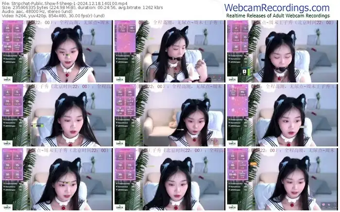 2024/12/18/stripchat-sheep-1-14-01-00