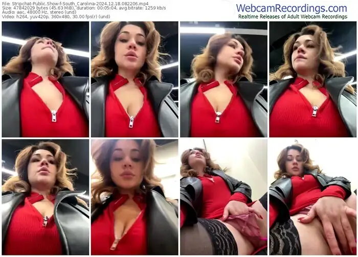 2024/12/18/stripchat-south_carolina-08-22-06
