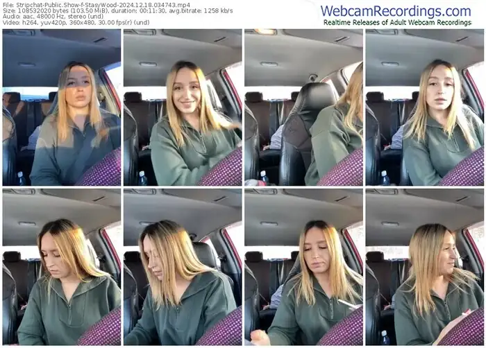 2024/12/18/stripchat-stasywood-03-47-43