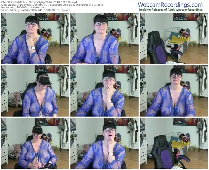 2024/12/18/stripchat-sylly-08-15-39