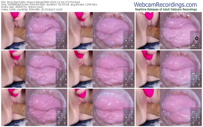 2024/12/18/stripchat-danigirl866-17-37-34