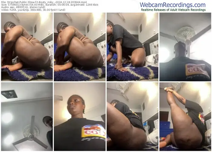 2024/12/18/stripchat-t-booty_risky_-20-39-44