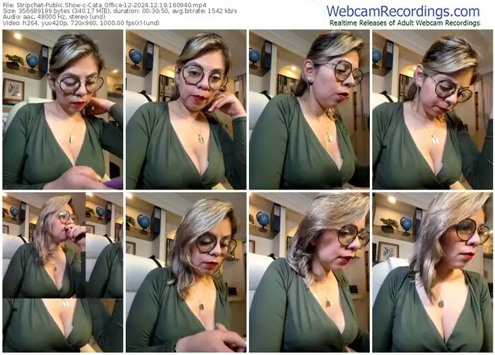 2024/12/19/stripchat-cata_office-12-16-09-40