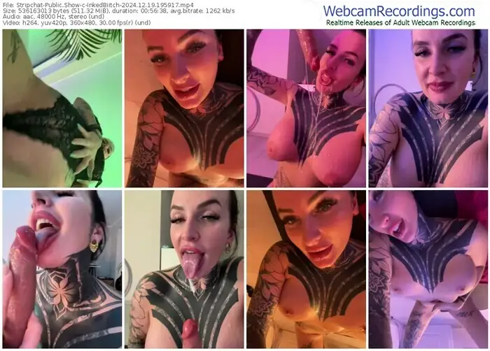 2024/12/19/stripchat-inkedbiitch-19-59-17