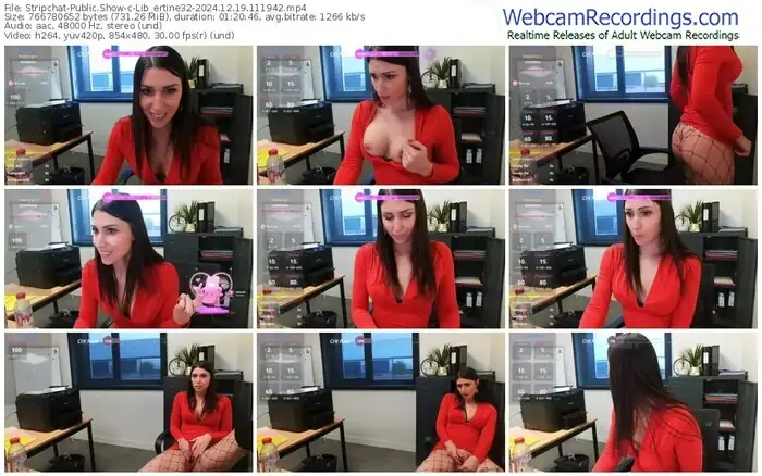 2024/12/19/stripchat-lib_ertine32-11-19-42