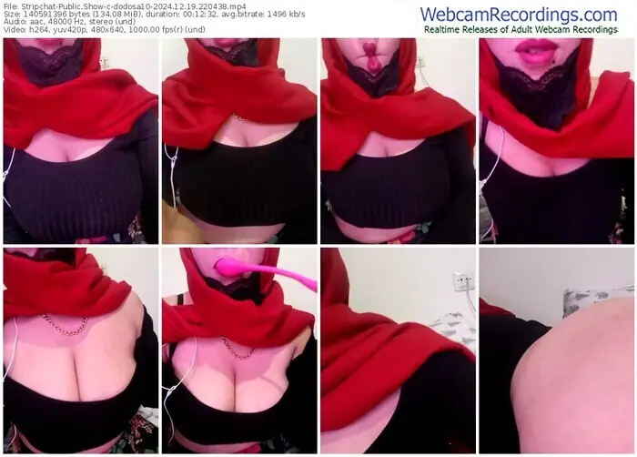 2024/12/19/stripchat-dodosa10-22-04-38