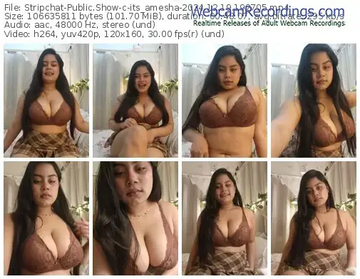 2024/12/19/stripchat-its_amesha-19-27-05
