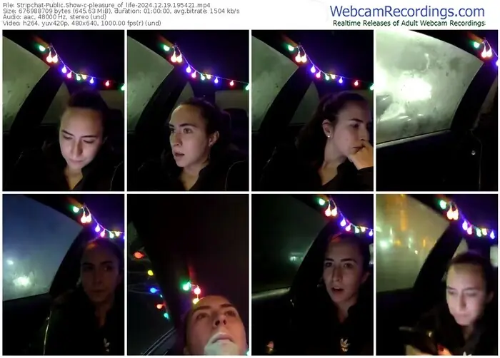 2024/12/19/stripchat-pleasure_of_life-19-54-21
