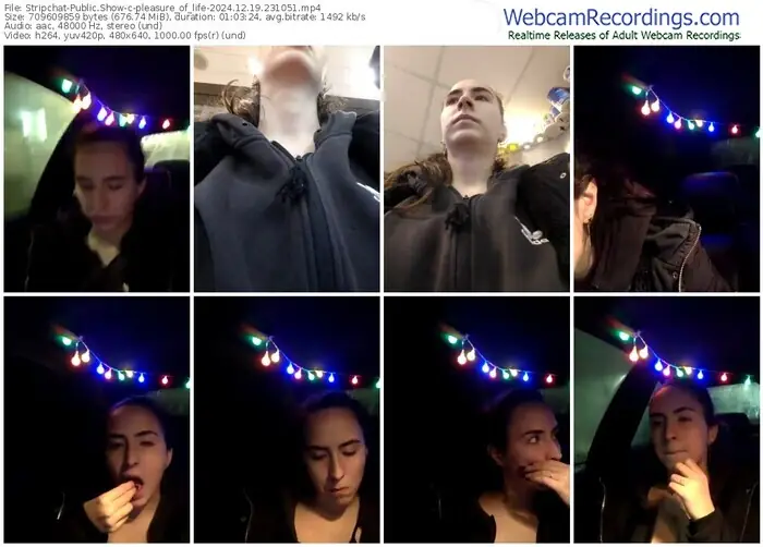 2024/12/19/stripchat-pleasure_of_life-23-10-51