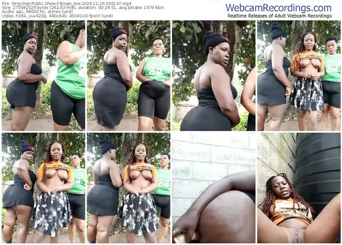2024/12/19/stripchat-broan_me-09-31-47