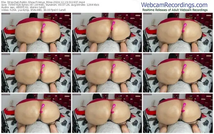 2024/12/19/stripchat-venus_r0se-01-19-37
