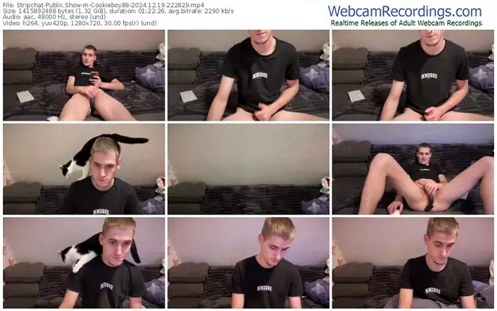 2024/12/19/stripchat-cookieboy88-22-28-29