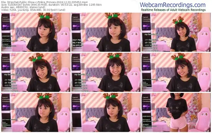 2024/12/20/stripchat-pinkie_princes-03-56-52