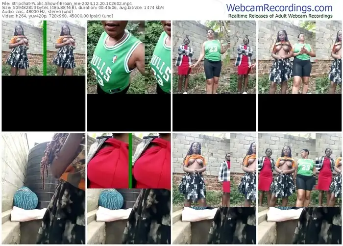 2024/12/20/stripchat-broan_me-10-26-02